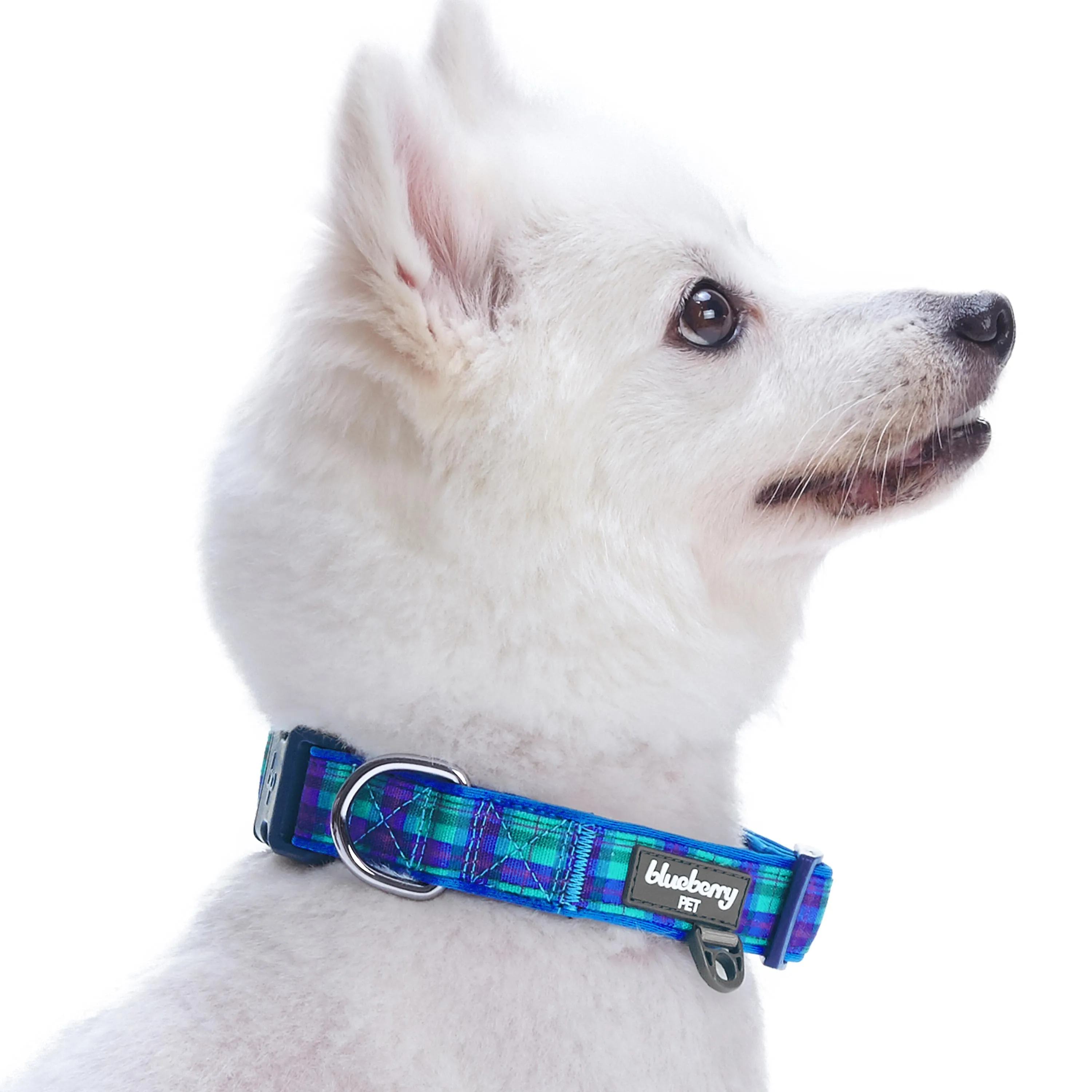 Plaid Pattern Neoprene Padded Dog Collar