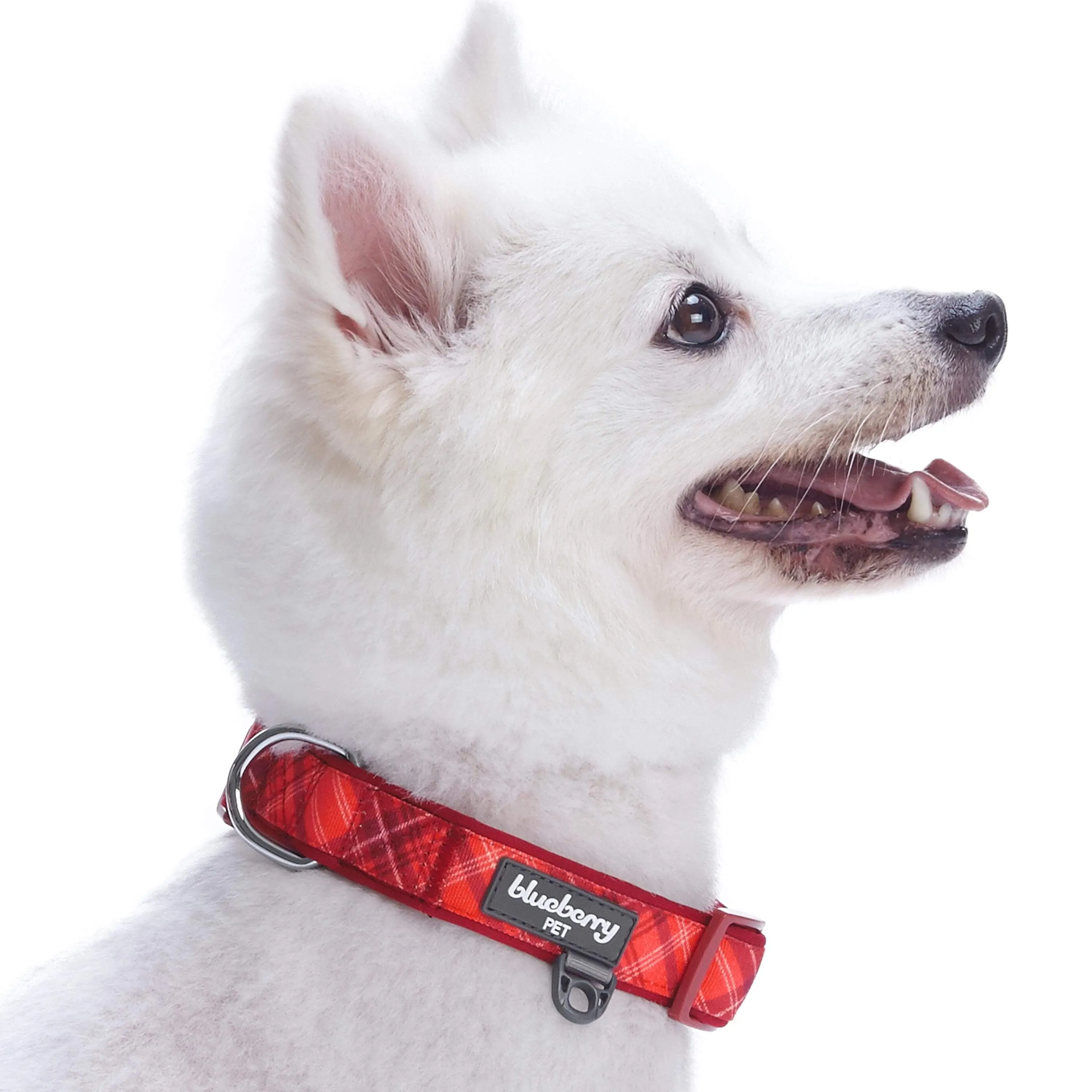 Plaid Pattern Neoprene Padded Dog Collar