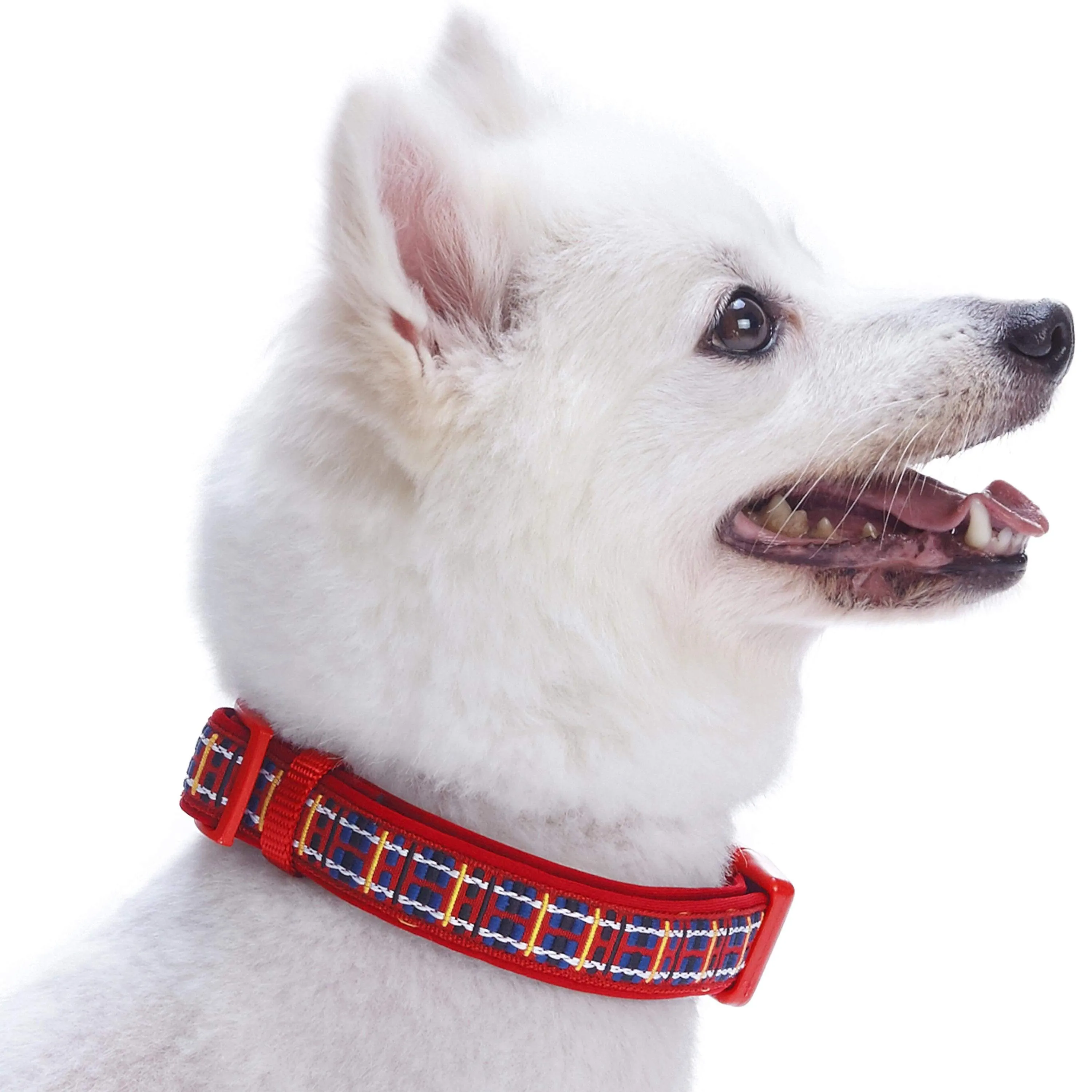 Plaid Pattern Neoprene Padded Dog Collar