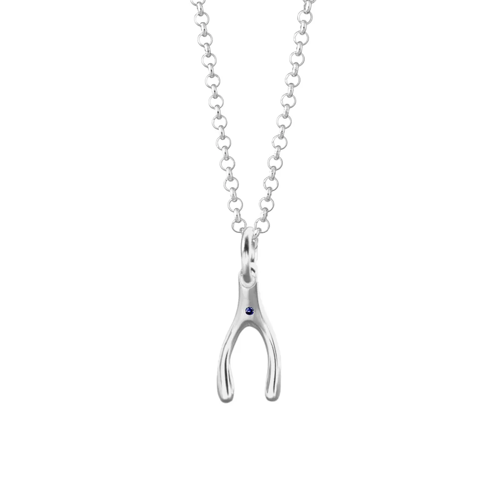 Silver and Sapphire Wishbone Necklace