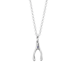 Silver and Sapphire Wishbone Necklace